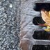 Maintaining Your Stormwater Drain
