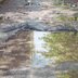 Why Is Water Leaking Under My Driveway Pavers?