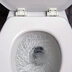 What Happens After You Flush?