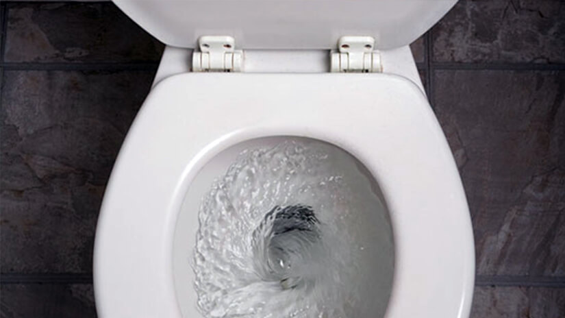 Toilet Flushing