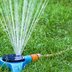 How To Recycle Greywater For Your Lawn And Garden