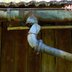 The Consequences Of Ignoring Gutter Leaks