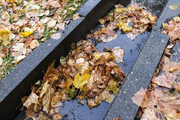 Preventing Stormwater Blockages And Flooding