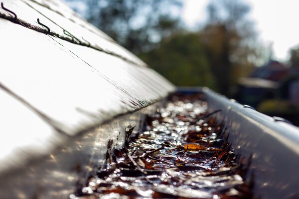 How To Clear Blocked Roof Drains
