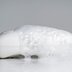 Can Soap Scum Block Shower Drains?