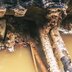 5 Steps to Minimise Damage from a Burst Pipe