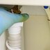 How Often Should You Clean Your Drains?